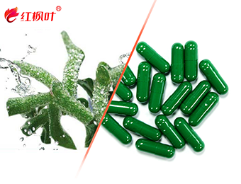 白虎粉逼出水